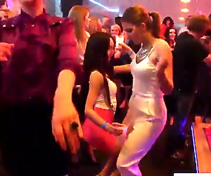Amateur euro babes sucking cock at party